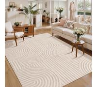 Ciicool 3x5 Washable Area Rug,Beige Entryway High-Low Pile Small Carpet