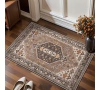 Ciicool Small Area Rug, 2x3ft Red Boho Rug, Ultra Soft Entry Rugs for Entryway, Non-Slip Washable Rugs Oriental Low-Pile Indoor Mat Floor Carpet for Entrance Bedroom Kitchen Bathroom Foyer Decor