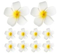 Ciieeo 24pcs Hawaiian Hair Clips Beach Style Hair Clips Eva Material Fashion Elegant Design Stay Very Well Fixing for Ladies Daily Life Shopping