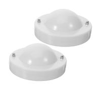 Ciieeo 2pcs Conductive Physics Balls for Classroom Teaching Interactive Induction Lamp Experiment Tools with Detailed Guide Science Exploration Equipment for Learning