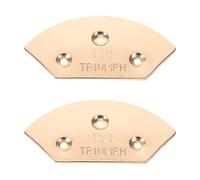 Ciieeo 2PCS Metal Heel Plates Guard Repair Pads - Shoe Heel Taps Tips & Sole Protectors - Replacement Plate for Shoes and Boots Outdoor Hiking Sole Repair