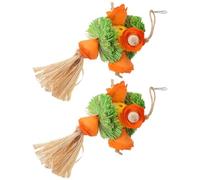 Ciieeo 2Pcs Parrot Chewing Corn Husk Bird Cage Accessories Small Bird Gnawing for Parakeets and Parrots Enrichment Hanging Foraging Plaything
