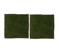 Ciieeo 2pcs Realistic Artificial Moss Mat 30x30cm Fake Grass Rug for DIY Crafts and Home Decor, Synthetic Green Moss Turf Suitable for Fairy Gardens, Wedding Table Centerpieces, Indoor