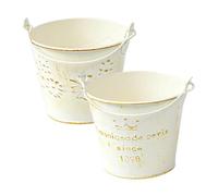 Ciieeo 2Pcs Rustic Metal Succulent Plant Buckets, Small Flower Pots with Handles, Vintage Garden Planter Cover, Crown Petal Embossed Iron Vases, Shabby Chic Indoor Balcony Ornament