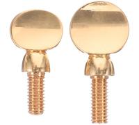 Ciieeo 2pcs Sax Neck Screws Saxophone Component Copper Simple Elegant Craftsmanship Lightweight Sax Replacement Parts Not Easy to Deform Or Break Save Time and Efforts Musical Instrument