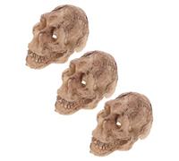 Ciieeo 3Pcs Mini Resin Skull Terrarium Decor for Reptile Tank Accessories, Realistic Human Skull Ornament for Gecko Habitat, Bearded Dragon and Lizard Enclosure