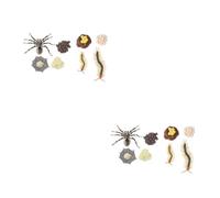 Ciieeo 4 Sets Tarantula and Life Cycle Models Educational Animal Figurines for Cognitive for Learning and Evolution Realistic Growth Cycle Decor