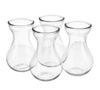 Ciieeo 4Pcs Creative Glass Flower Vase Clear Hydroponics Planter for Hyacinth Bulbs Elegant Indoor Outdoor Decor and Easy to Clean