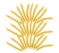 Ciieeo 50pcs Delicate Simulation Wheat Ear Bouquets Plastic Crafts Yellow Easy to Clean Forever Blooming for Living Room Greening Projects