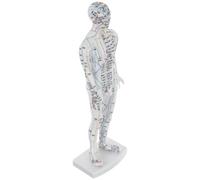 Ciieeo Acupuncture Model Male Human Meridian and Pressure Point Display, Traditional Chinese Medicine Acupoint Training Mannequin for Massage and Acupuncture Learning, White Full-Body
