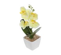 Ciieeo Artificial Orchid Plant with Vase Lifelike Faux Orchids Potted Arrangement for Home and Office Decor No Maintenance Needed