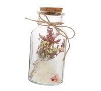Ciieeo Bottle with Cork Stopper Glass Night Mini Jar 1pcs Decorative Bottle for Dried Flowers and DIY Crafts
