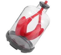 Ciieeo Breathe Trainer Lung Breathing Teaching Aid, Human Lung Breathing Model with 2 Lung-like Sacs, Rubber Diaphragm and Casing for Hands-on Science Lessons