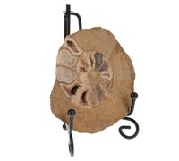 Ciieeo Colorful Ammonite Specimen Table Decor with Translucent Surface and Aesthetic Charm Including Supporting Stand for Geology Enthusiasts and Mineral Collectors
