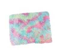 Ciieeo Double Layer Plush Pet Blanket Mat for Dogs and Cats, Medium Rainbow Pink Warm Sleep Cushion, Soft Puppy and Cat Bed Mat