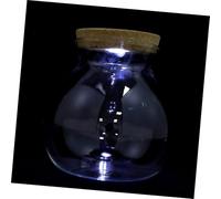 Ciieeo Ecological Bottle Mini Aquarium Glass Terrarium with LED White Light Cylindrical Micro Landscape Holder Decorative DIY Moss Fish Tank for Home Garden