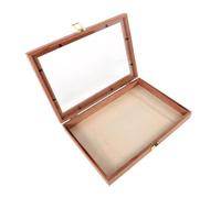 Ciieeo Elegant Wooden Specimen Display Case with Transparent Lid for Butterflies and Dried Flowers Scratch- Natural Wood Storage Box for Home Decoration and Collectors
