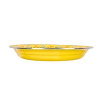 Ciieeo Enamel Dish 30cm Heat Resistance Tableware for Family Gathering