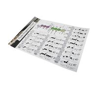 Ciieeo Flute Note Chart and Chord Learning Guide Practical Fingering Poster for Beginners Easy-to-read Sturdy Flute Practice Chart for Student Study and Music Training