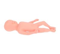Ciieeo Full Term Fetus Model Training Aid for Umbilical Cord Care Realistic Embryo Model for Nursing Schools Hospitals and Educational Institutions