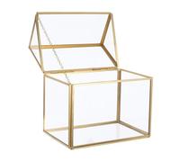 Ciieeo Glass Terrarium House Shape Planter Geometric Indoor Greenhouse for Succulents Moss Unique for Home Decor Maintenance Microlandscape Display