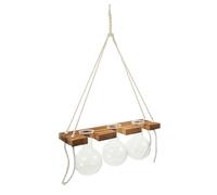 Ciieeo Hydroponic Glass Wall Vase with Wood Stand, Nordic Style Hanging Planter Bottle for Indoor Plants, Wall Mounted Flower Pot Home Decor in Vintage Color