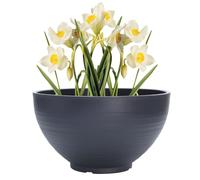 Ciieeo Hydroponic Resin Stone Planting Bowl 30cm Deep Grey Simulation Stone Flowerpot for Daffodil Narcissus Indoor Gardening and Fish Tank Use