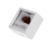 Ciieeo Irregular Olive Meteorite Specimen Unique Scientific Sample for Teaching and Home Decor Nickel-iron Space Stone Collectible for Classroom Education and Creative Random Color