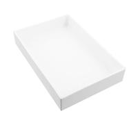 Ciieeo Laboratory Leakage Pallet Wash Tray Lab Pan Chemistry Reagent Tray Pp White