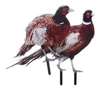 Ciieeo Outdoor Garden Pheasant Stakes 2 Pack Acrylic Double-Sided UV Printed Lawn Decoration for Yard and Flower Pot Ornament