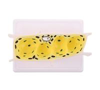 Ciieeo Plant Cell Anatomy Model with Onion Epidermal Cells Educational Biology Lab Model for Classroom Teaching for School Science