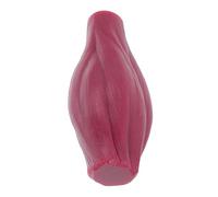 Ciieeo Realistic Human Body Muscle Model Lb Educational Muscle Figure for Fitness Enthusiasts Anatomy Teaching Display