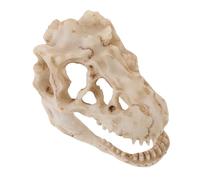 Ciieeo Resin Dinosaur Skull Model Miniature Compact Decorative Simulated Animal Skeleton for Desk Terrarium Display Teaching Tool Collectors and Enthusiasts