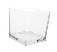 Ciieeo Thickened Clear Glass Square Vase Hydroponic Planter for Flowers Home Desk Aesthetic Decor Modern Transparent Cube Flower Holder