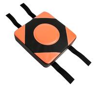 Ciieeo Wall Mounted Boxing Pad Wall Boxing Mat Pu Leather Professional Technology Wall-mountable Orange Punching Equipment for Fighting Exercises Training