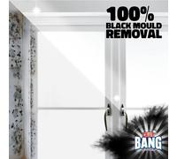 Cillit Bang Black Mould Remover Spray I Removes Mould Mildew Dirt I S
