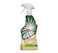 Cillit Bang Natural Kitchen Power Cleaner - Against Grease & Dirt - Ingredients 98.8% Natural Origin - 1 x 750ml Kitchen Cleaner