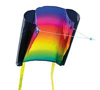 CIM MIC single line kite for children - Beach Kite - 29x18,5 inches - incl. 40m kite line and tails - from the age of 3 up … (Prism)