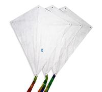 CIM Single line kites - Craft Kites - (SET OF 3 KITES) with all accessories