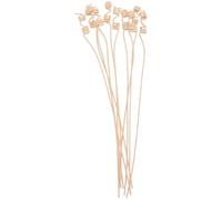 CIMAXIC 10pcs Natural Rattan Diffuser Sticks for Living Space and DIY Use, Work Well with Perfumes to Disperse Fragrance, Simple and Refined Scented Diffuser Accessories
