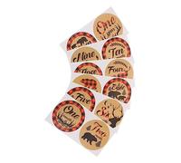 CIMAXIC 12 Pcs Newborn Monthly Stickers Baby Milestone Decals for Photos Easy to Apply Remove Non-Toxic Material