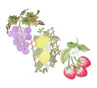 CIMAXIC 3pcs Cloth Applique Sewing Patches Sew on Appliques Assorted Color Embroidered Fabric Simple Design Easily Sew on Easy to Use for DIY Craft on Hats and Craft Items