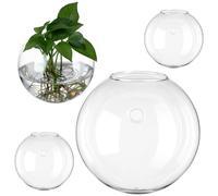 CIMAXIC 4pcs Wall-mounted Glass Propagation Stations Elegant Terrarium Plants Holders for Indoor Wall Decor Unique Rounded Design for Flower Display and Plant Growth