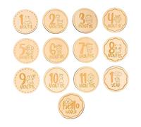 CIMAXIC Cartoon Animal Wooden Milestone Sign 13pcs Set for Newborn Photography Props