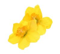CIMAXIC Daffodil Hairpin Plastic Cute Floral Hair Accessories Women Secure Side Clip for Chinese Traditional Headdress and Various Occasions