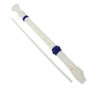 CIMAXIC Ethnic Flute Recorder 8-hole Plastic Flute for Beginner Boys and Girls Clarinet for Music Education