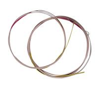 CIMAXIC Pipa String Set 4pcs Replacement Strings Steel Wire for Chinese Instrument Comfortable Play Rich Sound
