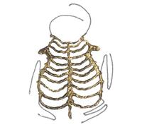 CIMAXIC Plastic Skeleton Bone Body Harness, Hollow Out Rib Cage Design with Adjustable Back Chain Clasp for Halloween Costume Cosplay Party Festival