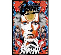 Cimily David Bowie Star man Vintage Tin Signs Tin Poster Retro Metal Sign Plaque Art Wall Decor 8×12 Inch