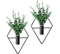 Cindeer 2 Pcs Hanging Planters with Artificial Plants Metal Hanging Vase Indoor Plants Holder Modern Geometric Wall Decor for Living Room Home Office (Black, Eucalyptus)